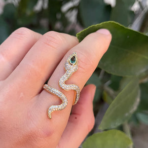 REGENERATE | RING